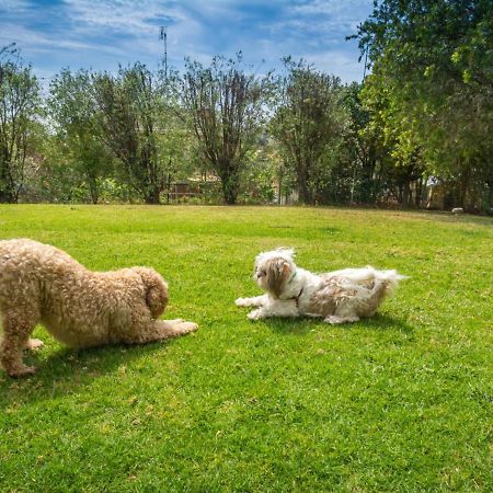 The Werri Shack Gerringong Villa Dış mekan fotoğraf